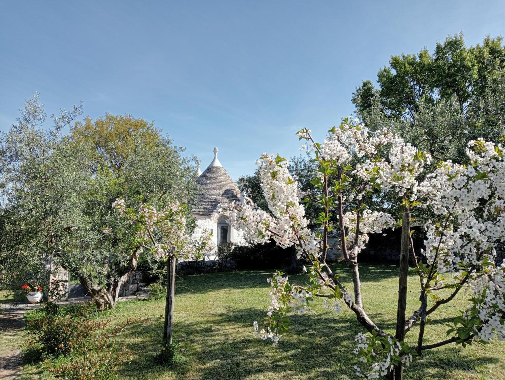 ロコロトンド Trulli Manuelaヴィラ エクステリア 写真